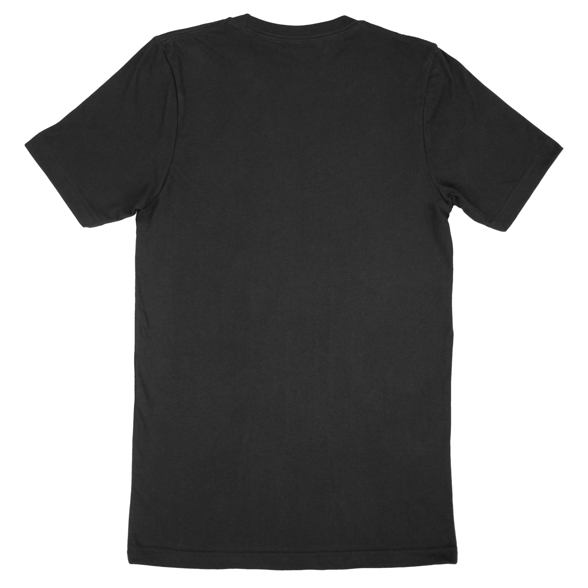 Adult T-Shirt