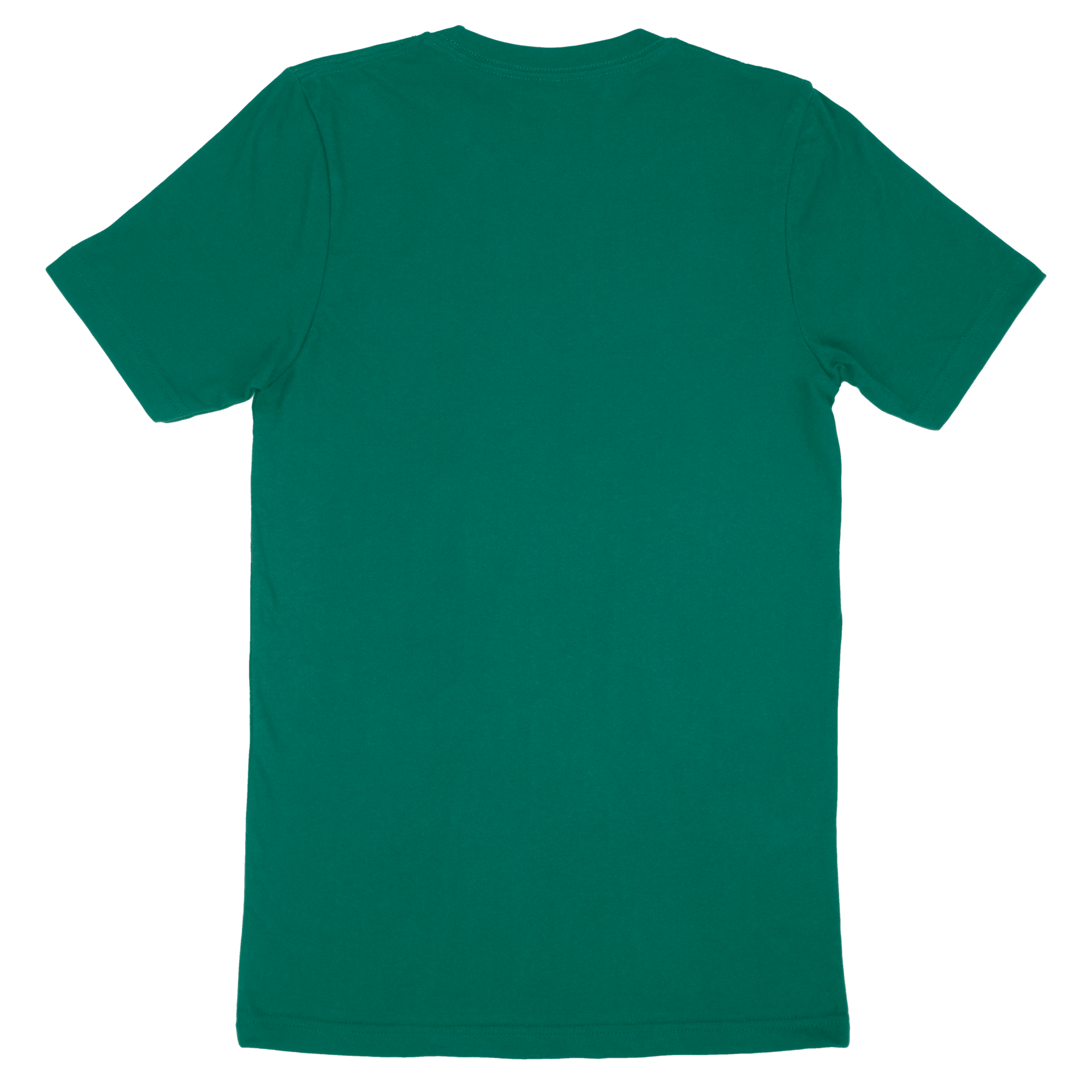 Adult T-Shirt