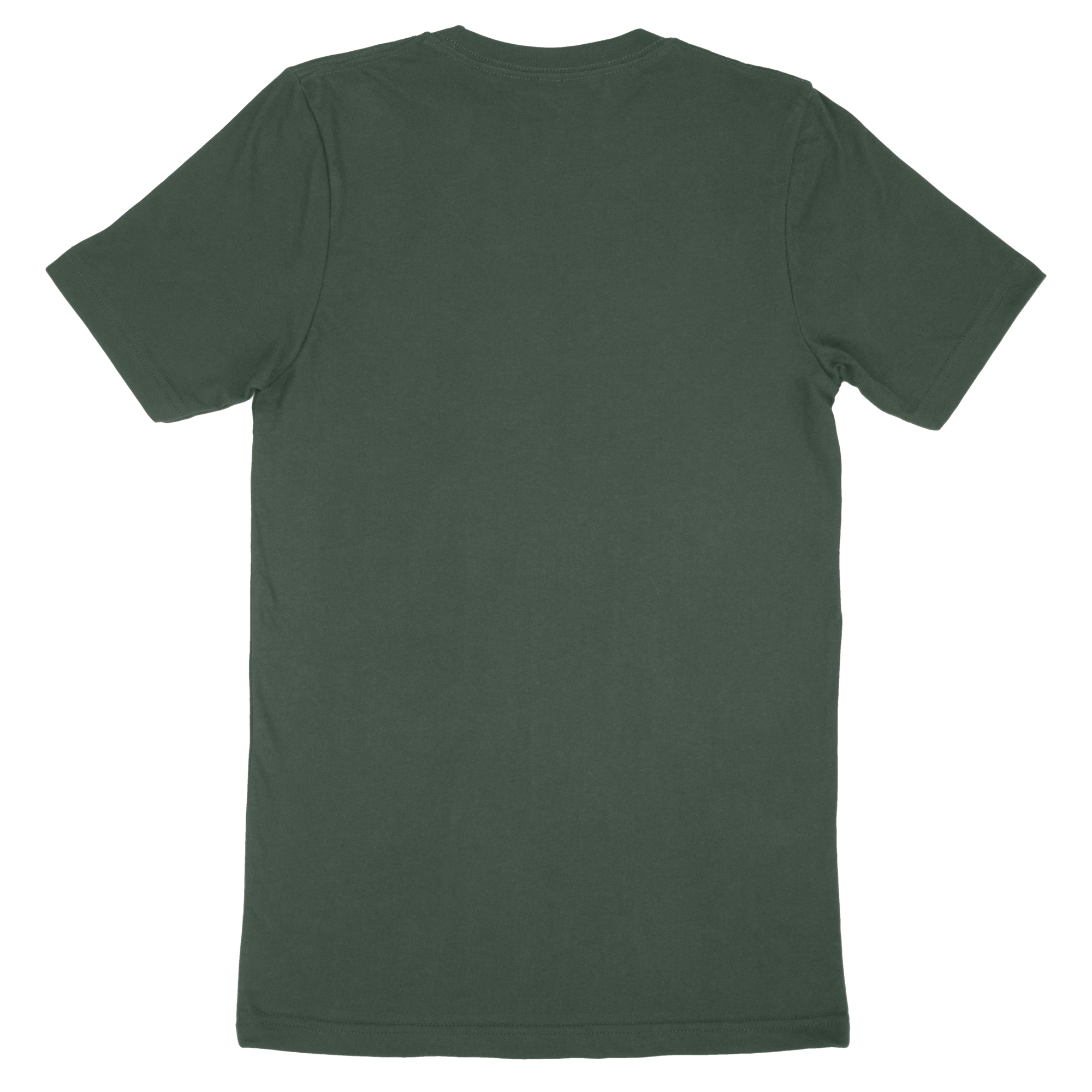 Adult T-Shirt