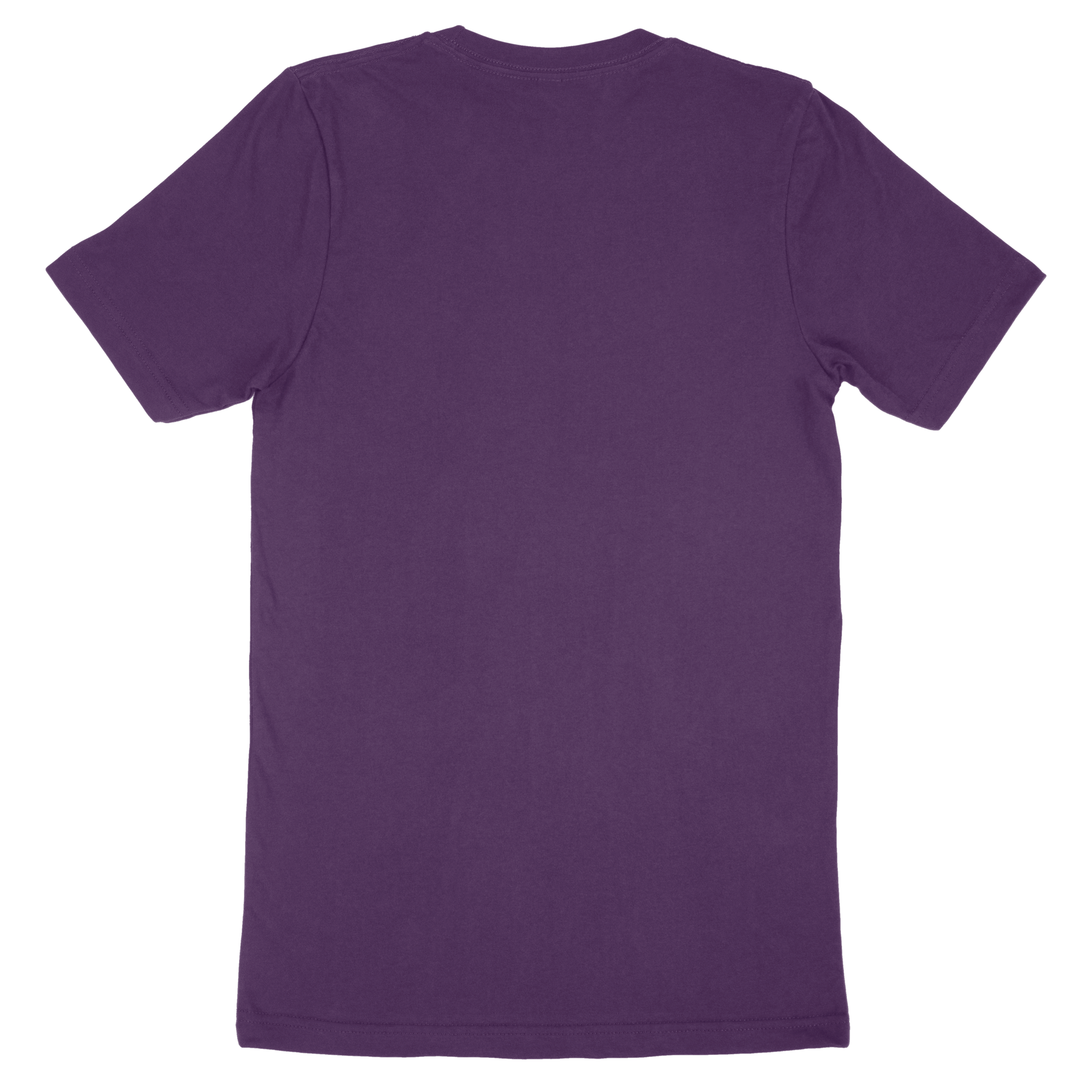 Adult T-Shirt