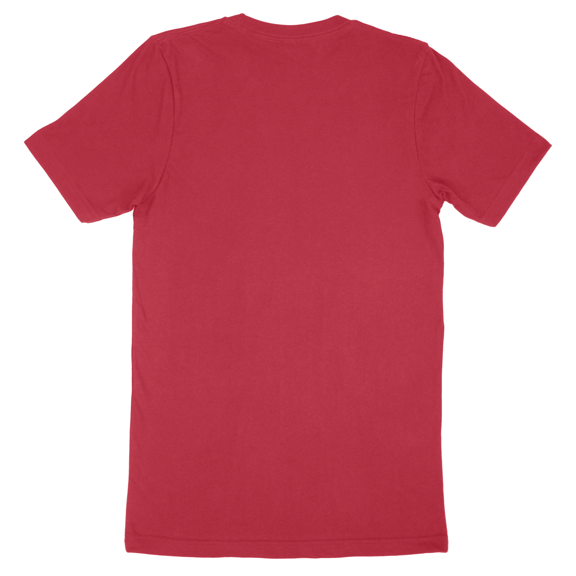 Adult T-Shirt