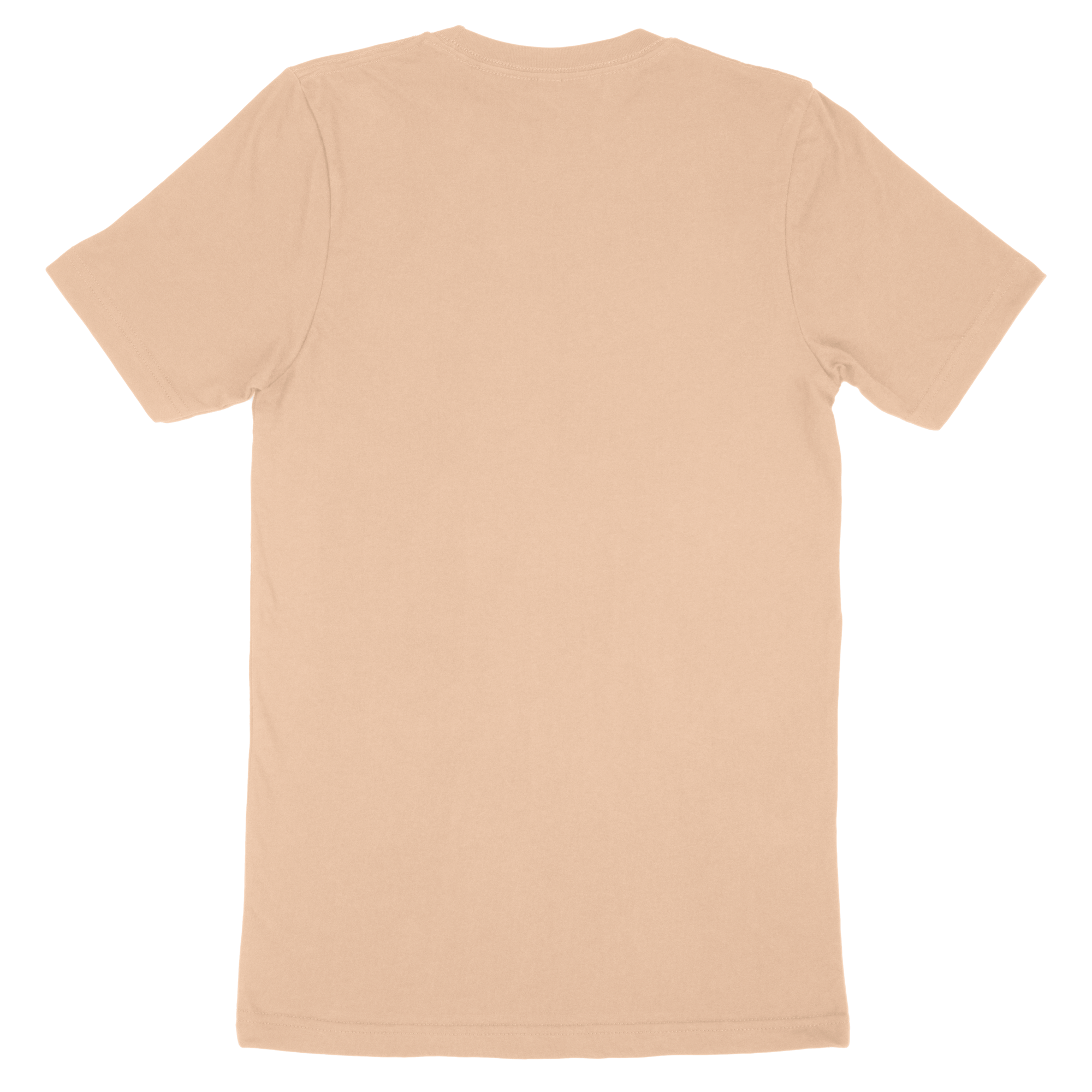Adult T-Shirt
