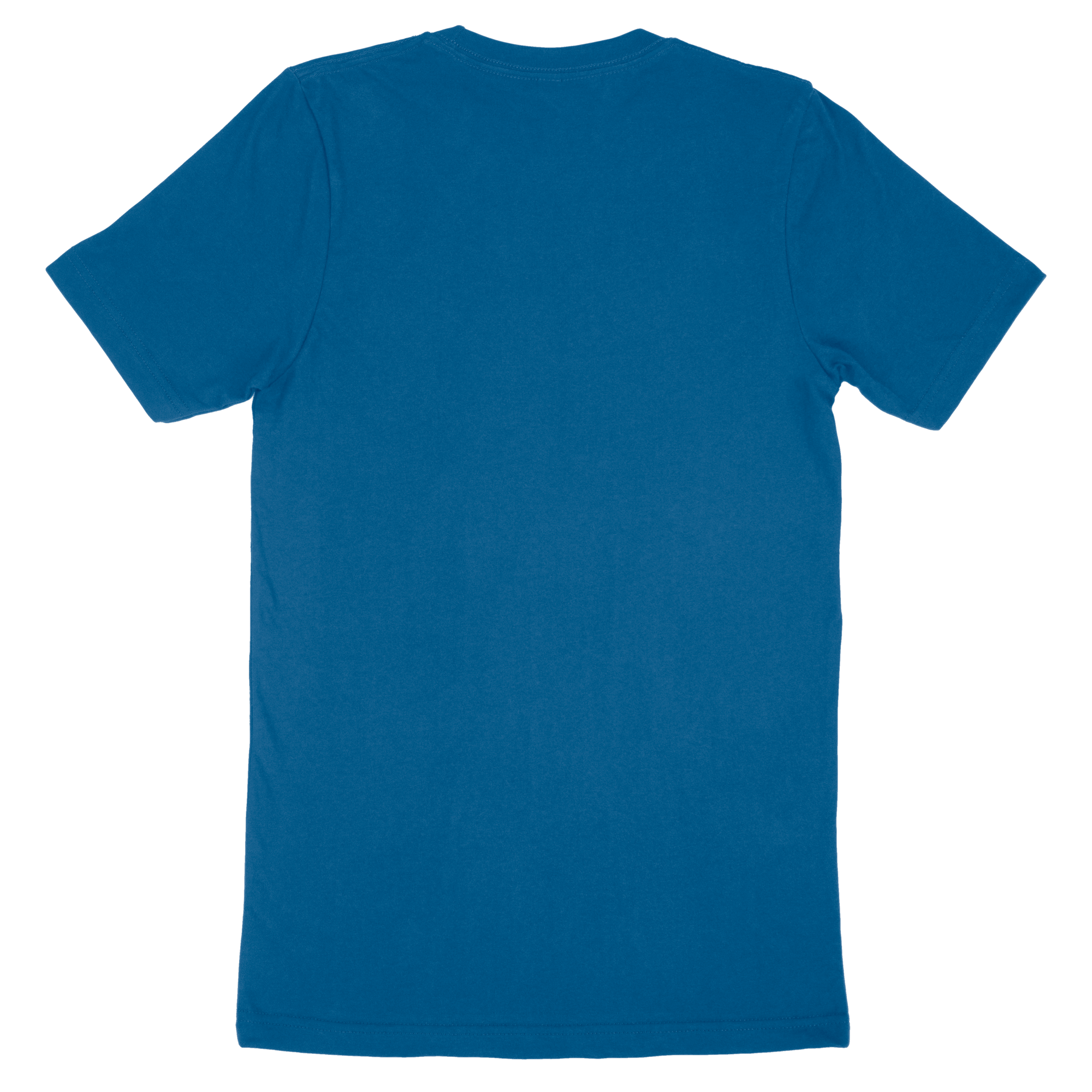 Adult T-Shirt