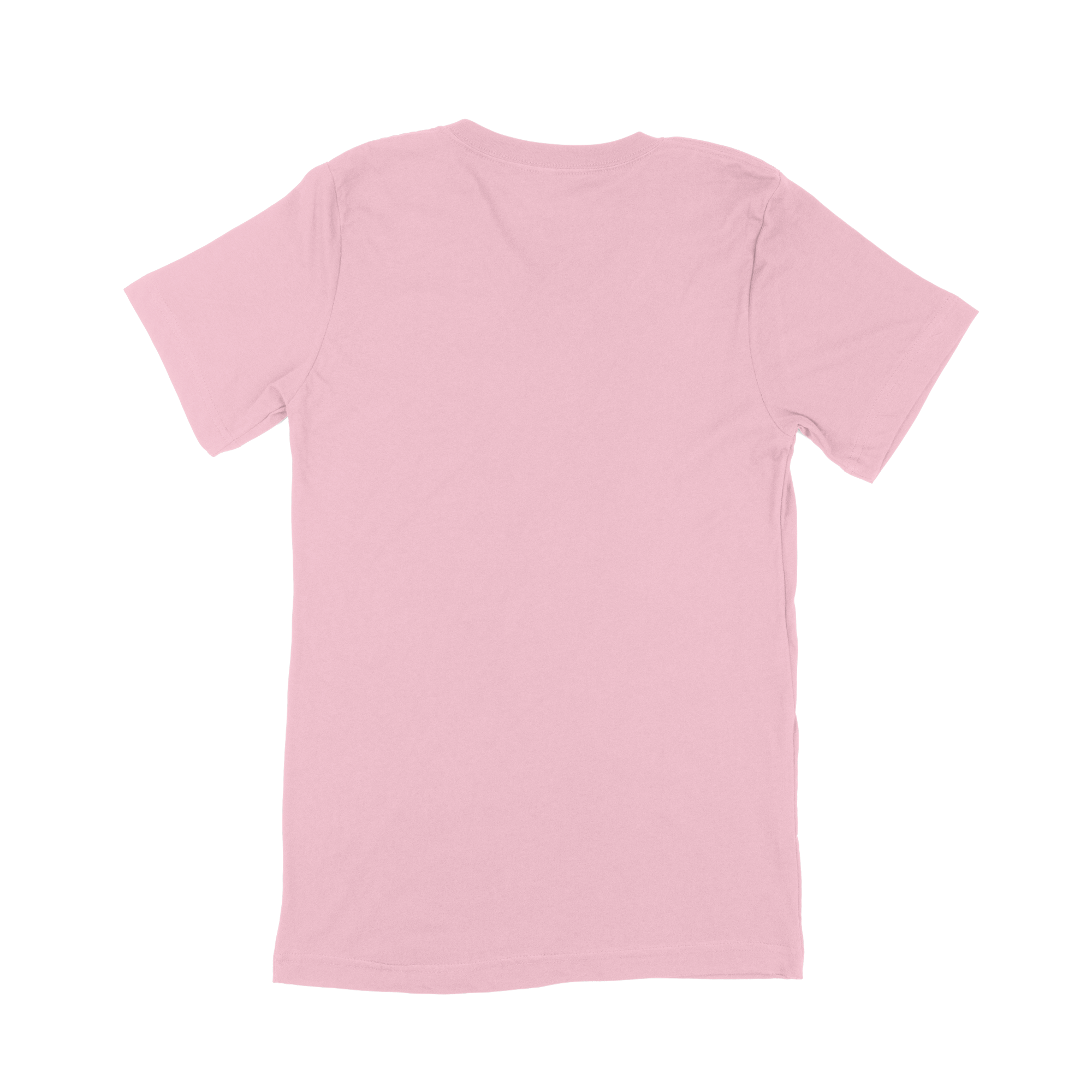 Adult V-Neck T-Shirt