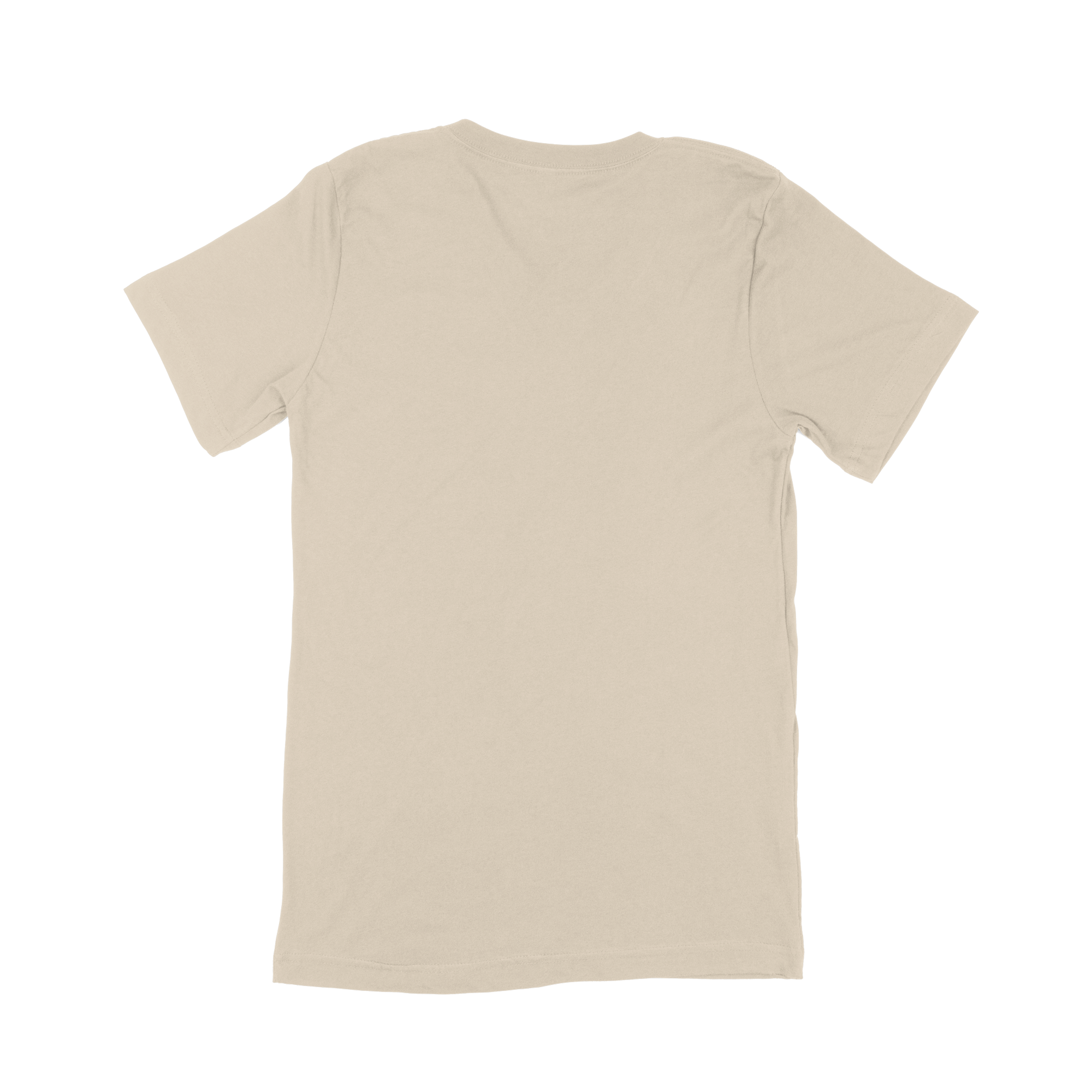 Adult V-Neck T-Shirt