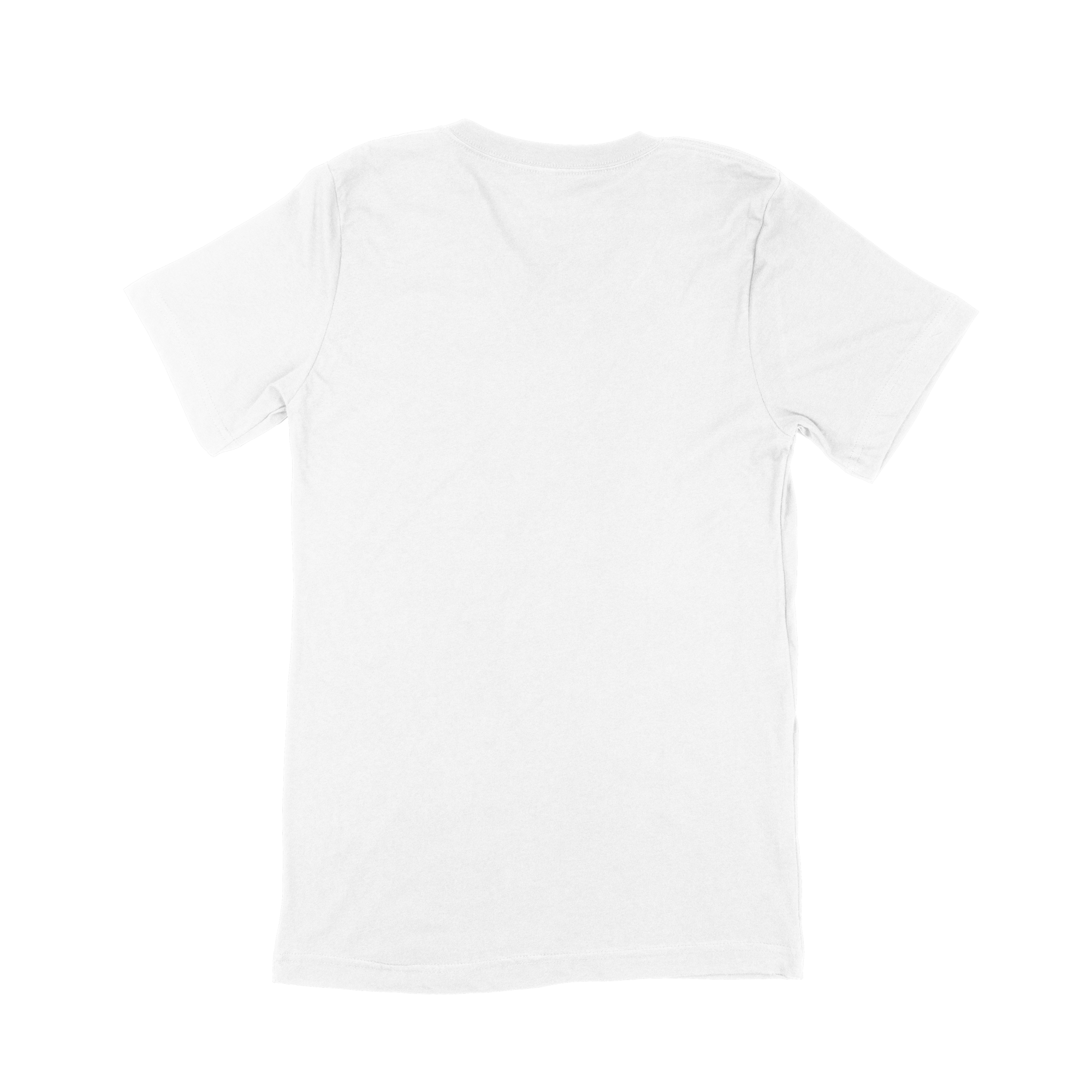 Adult V-Neck T-Shirt